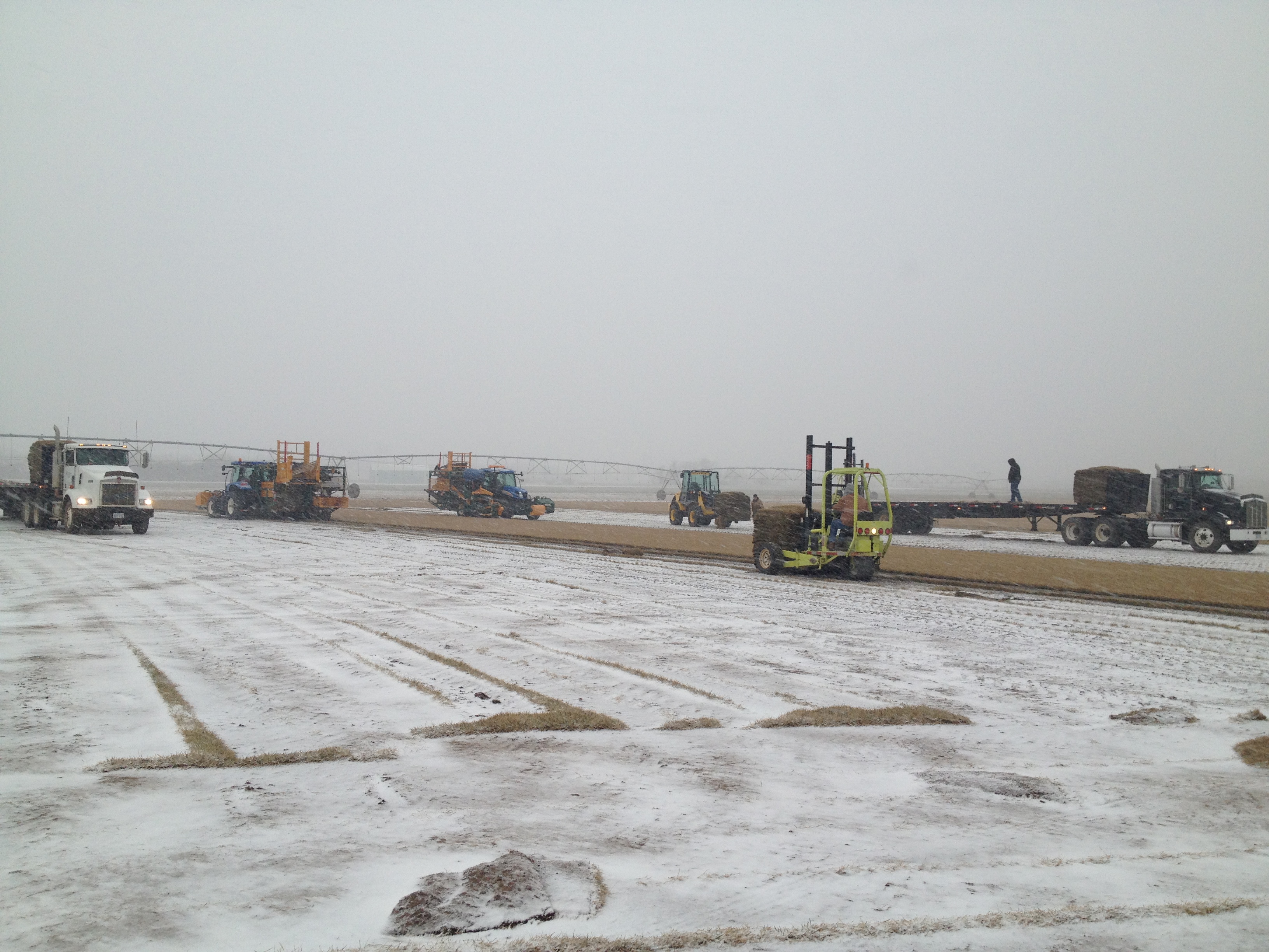 With Sodding in Junction City, KS Locals Have an Easier Option Than Grass Seed