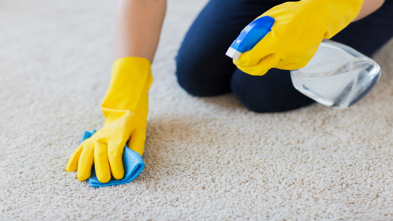 Spring is Here! Why You Should Consider Hiring a Professional Cleaning Service