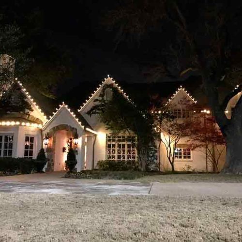 Finding Outdoor Wedding Tree Lights in Dallas